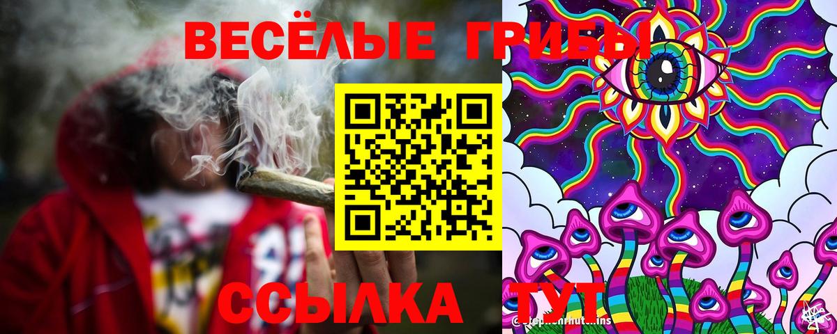 Псилоцибиновые грибы Psilocybine cubensis Благодарный